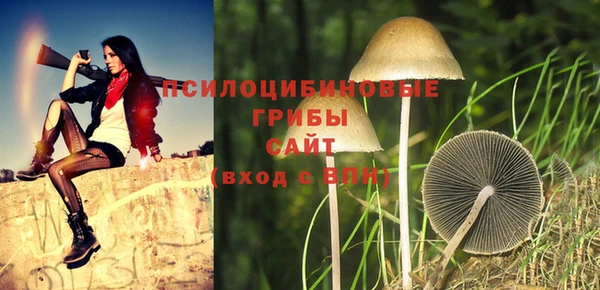 кристаллы Гвардейск