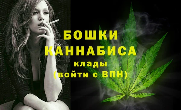 apvp Осинники