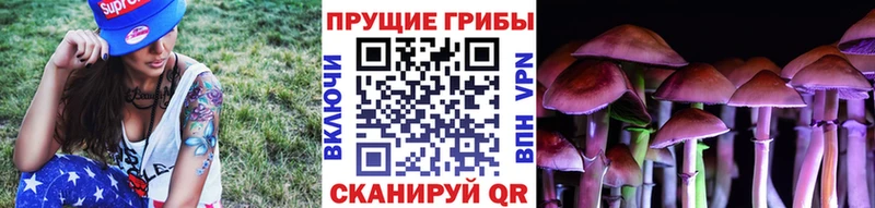 Галлюциногенные грибы Psilocybe  цены   Ковдор 